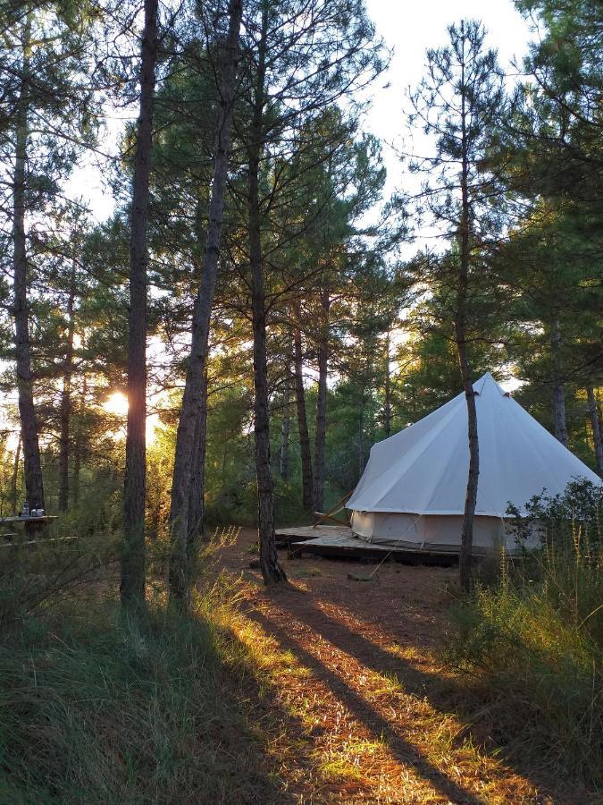 Forest Days Navés Eksteriør billede