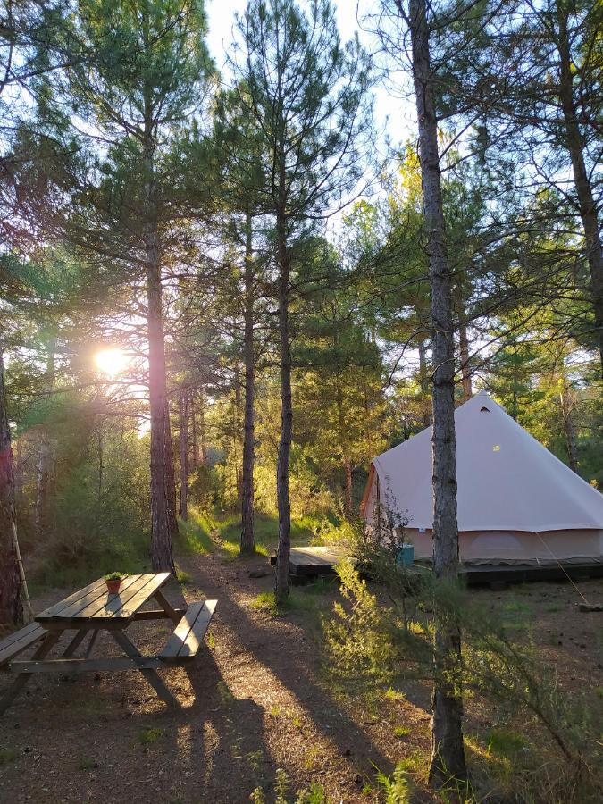 Forest Days Navés Eksteriør billede