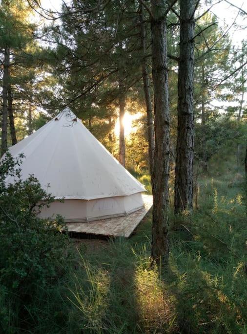 Forest Days Navés Eksteriør billede