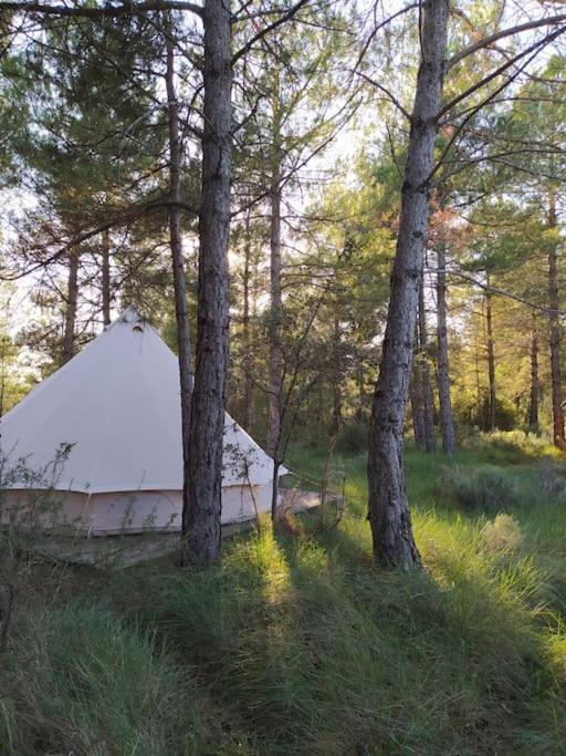Forest Days Navés Eksteriør billede