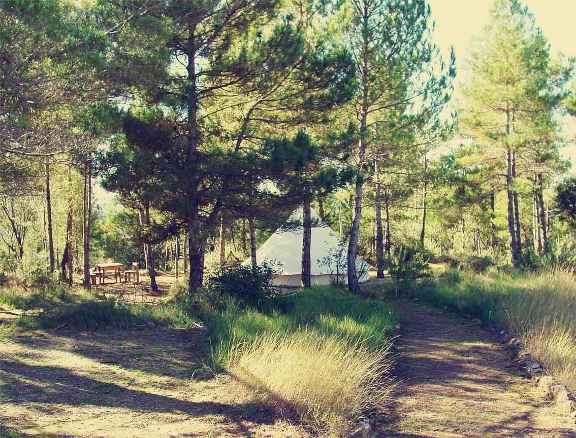 Forest Days Navés Eksteriør billede